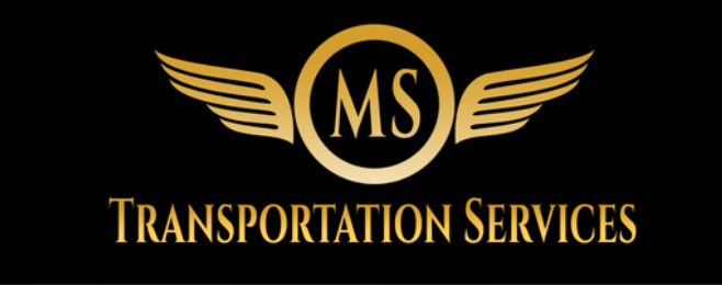 Limo Website Design Service for MS Transportation Services in Washington D.C.